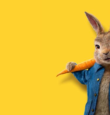 Peter Rabbit 2: The Runaway Banner Image