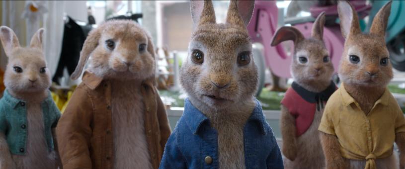 Peter Rabbit 2: The Runaway gallery Image